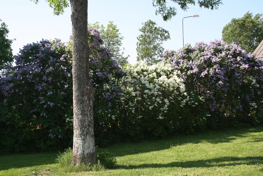 Gaesthem Kronan Mariehamn Szoba fotó